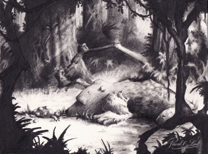 Les Esprits de la Forêt (L'Ours et la Tortue)