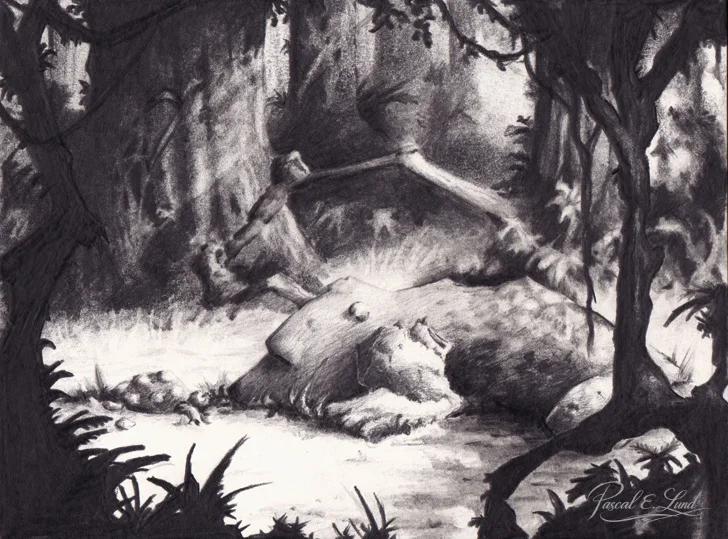 Les Esprits de la Forêt (L'Ours et la Tortue)